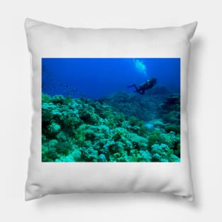 Red Sea Coral Reef Pillow