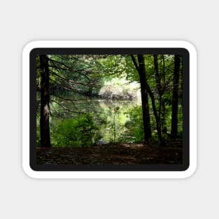 Late Summer at Walden Pond Magnet