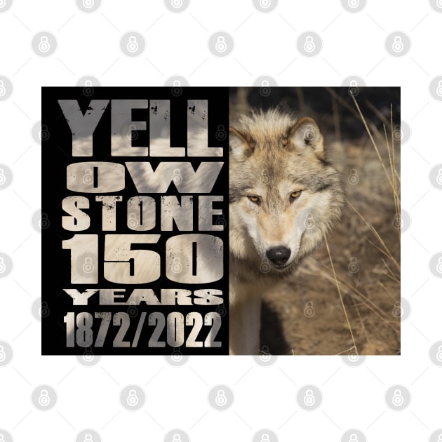 Yellowstone  Wolf 150 Year Celebration  - 150 Years of Yellowstone by Smyrna Buffalo