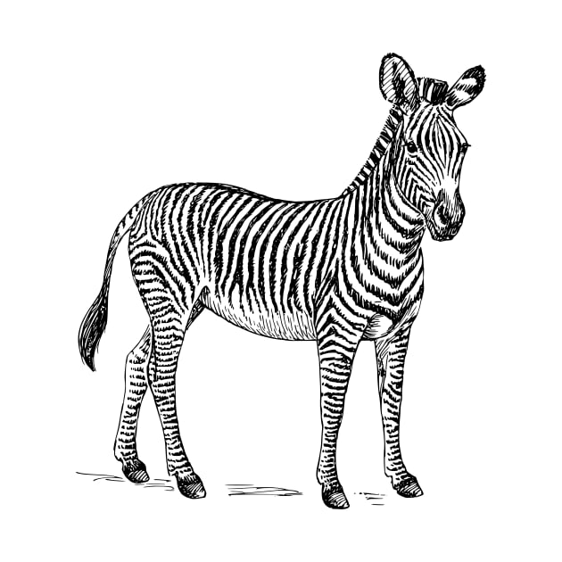 Zebra Rustic by MineLabel