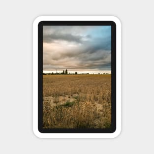 Storm clouds over the cornfield Magnet