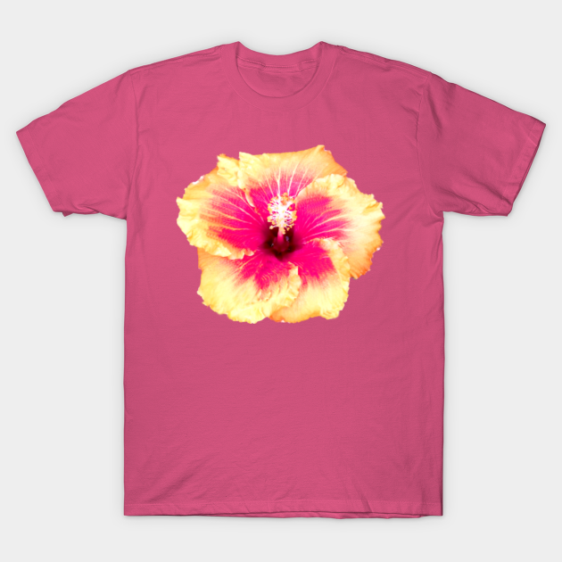 hibiscus - Hibiscus Flower - T-Shirt | TeePublic
