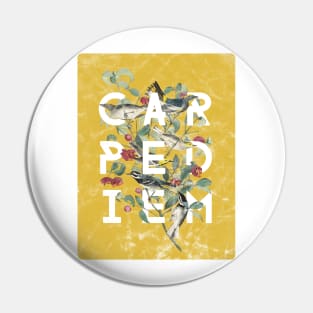 Carpe Diem - Modern Typography with Vintage Birds in Yolk Yellow Pin