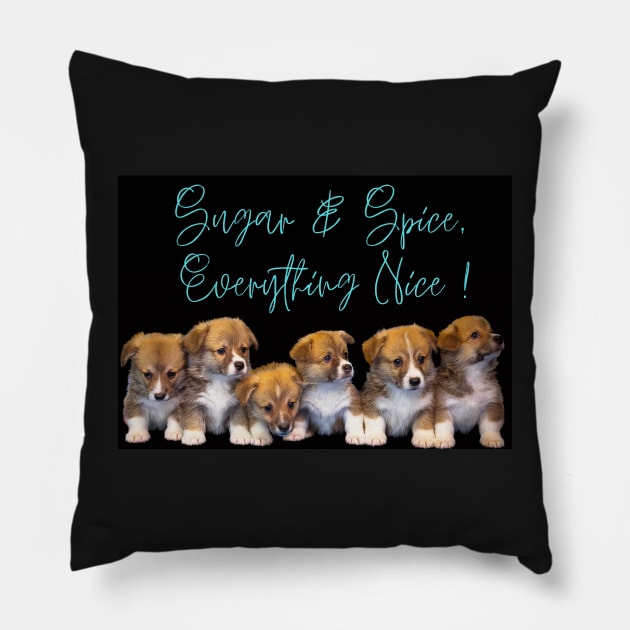 Time Spent With Dogs Is Never Wasted Pillow by BRIJLA