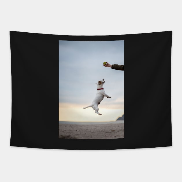 Jumping Jack Russel Terrier Tapestry by mooonthemoon