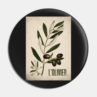 Old plant poster - The olive tree - Vintage - retro Pin