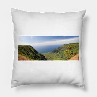Kauai NaPali Overlook_WGC Pillow