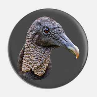 Head of a Black Vulture Pin