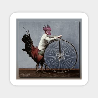 Red Rooster Bicycles Magnet