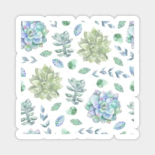 Pretty watercolour succulent print Magnet