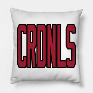 Arizona LYFE CRDNLS I'd like to buy a vowel Pillow