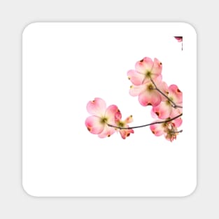 Pink Flower Magnet