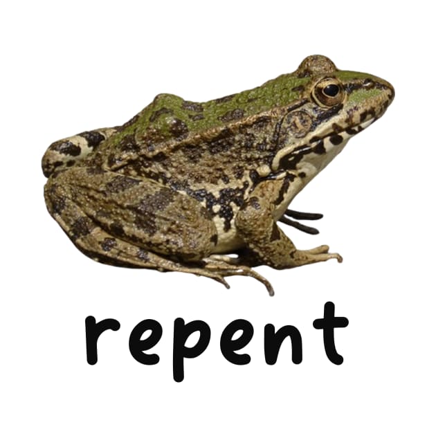 Repent Frog Unisex T-Shirt Y2K Funny Meme Shirt / Ironic Shirt / Weirdcore Clothing by CamavIngora