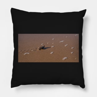 The Treacherous Path to the Sea Pillow