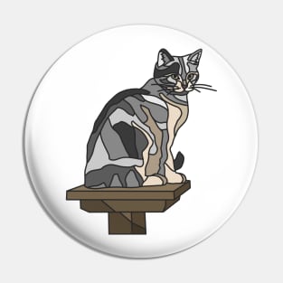 Grey Tabby Cat on Platform Pin