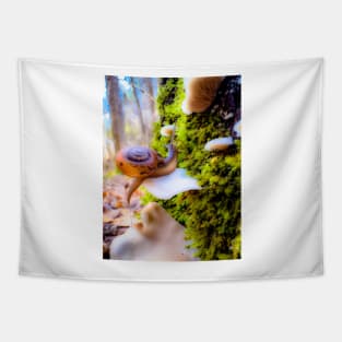 whimsical snail and mushroom photo Tapestry