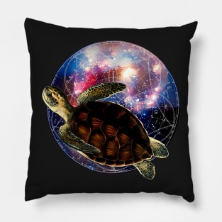 The Flight of the Turtle Pillow