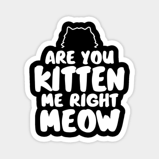 Are You Kitten Me Right Meow Magnet