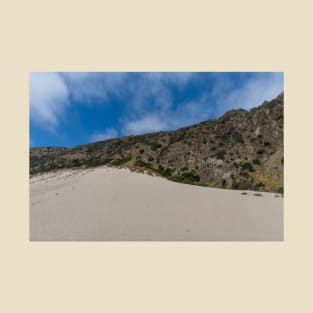 Sandy Dune near Point Mugu, California T-Shirt