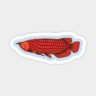 Red Arowana fish cartoon illustration Magnet