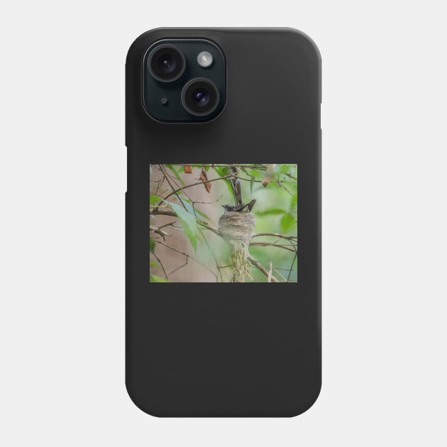 Fantail in nest Phone Case by Bevlyn