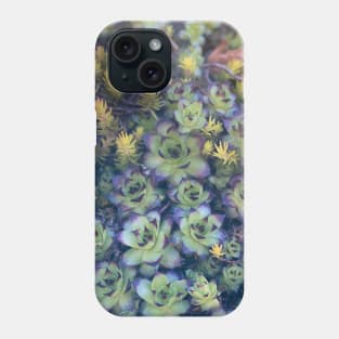 Stonecrops in Spring Phone Case