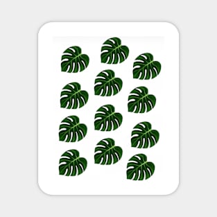 Leaf Design Magnet