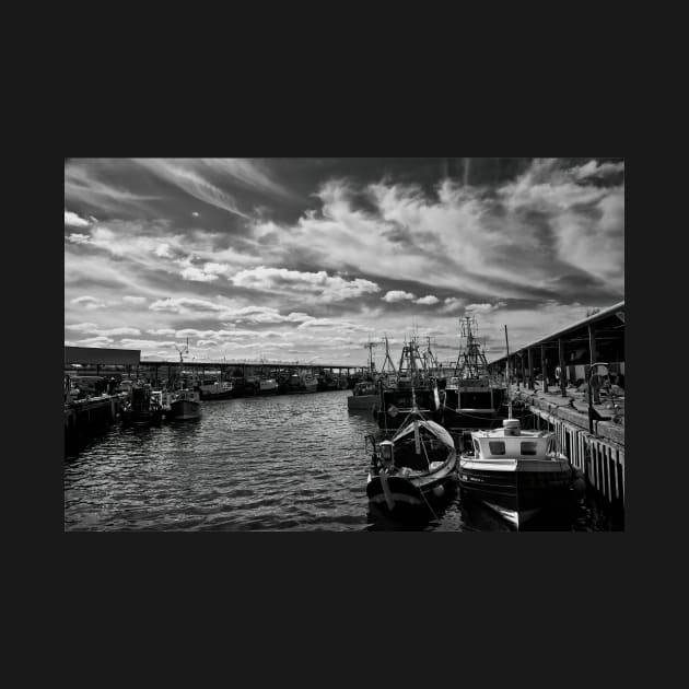 North Shields Fish Quay in Monochrome by Violaman