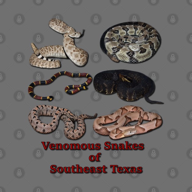 Venomous Snakes of Southeast Texas by Paul Prints