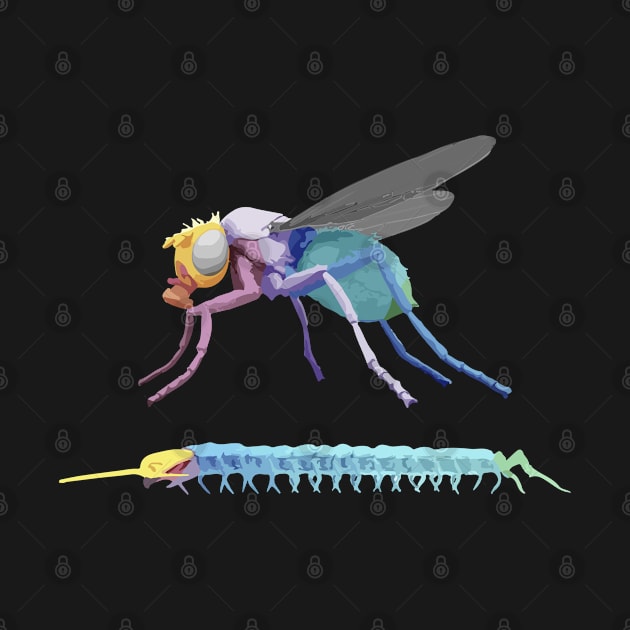 Evolution Hox Genes Similarities Housefly and centipede by labstud