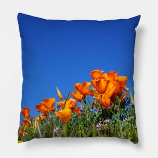 California Poppies and Blue Skies Photograph Pillow