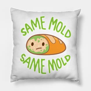 Same old, same mold! Pillow