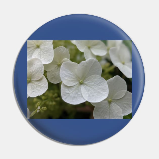 Delicate White Tree Flowers Pin by AustaArt