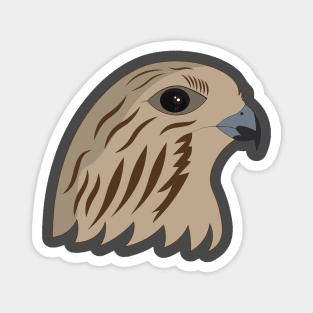 Falcon Magnet