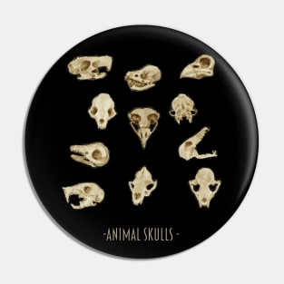 Skulls Pin