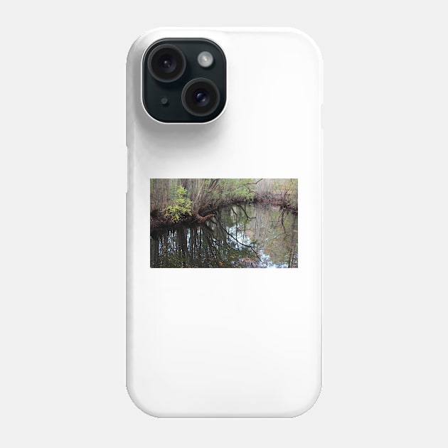 Moores Creek Phone Case by Cynthia48