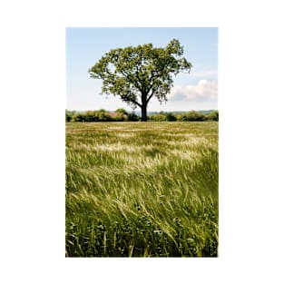 A moving sea of Barley - Yorkshire, UK T-Shirt