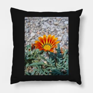 Beautiful Summer Orange Flower Pillow