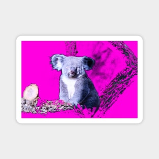 Koala Bär  / Swiss Artwork Photography Magnet