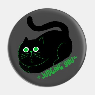 This Cat Is Silently Judging You Pin