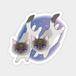 Zodiac Astrology Horoscope Star Sign Cat - Gemini Magnet