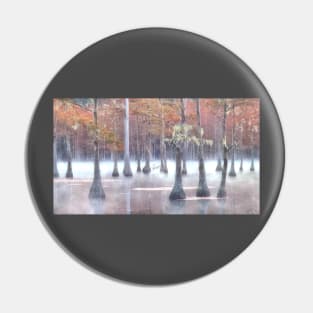 Cypress swamp in Foggy morning Pin