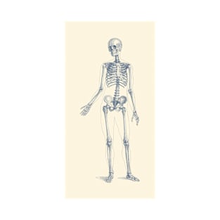 Full Body Skeleton - Vintage Anatomy Poster T-Shirt