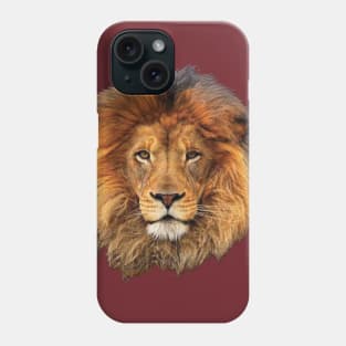 Lion King from Africa Phone Case