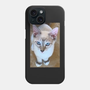 Amigo Phone Case