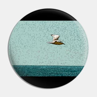 bird over the sea Pin