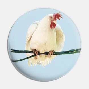 Chicken are birds Pin