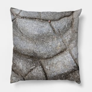 Circular Rock Formation Pillow