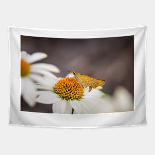 Double Skippers on PowWow Coneflower Tapestry