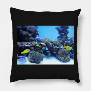 Colorful Fish in the Ocean Pillow